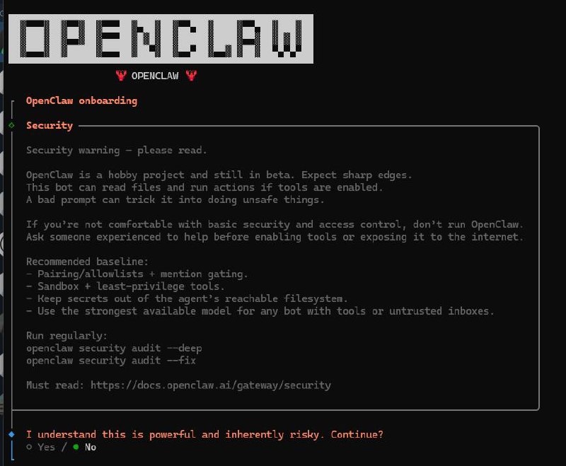 OpenClaw Installation Wizard - Security Warning