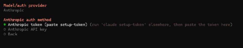 Choose Model Provider