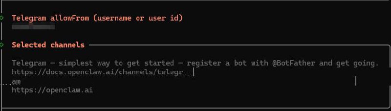 Configure Telegram allowFrom